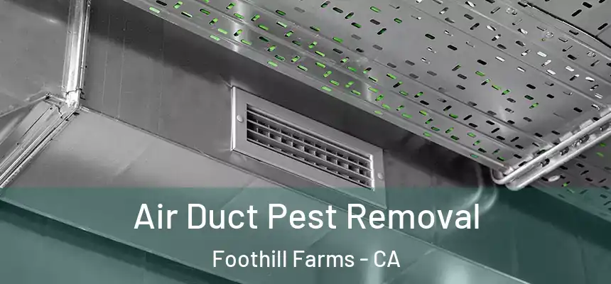  Air Duct Pest Removal Foothill Farms - CA