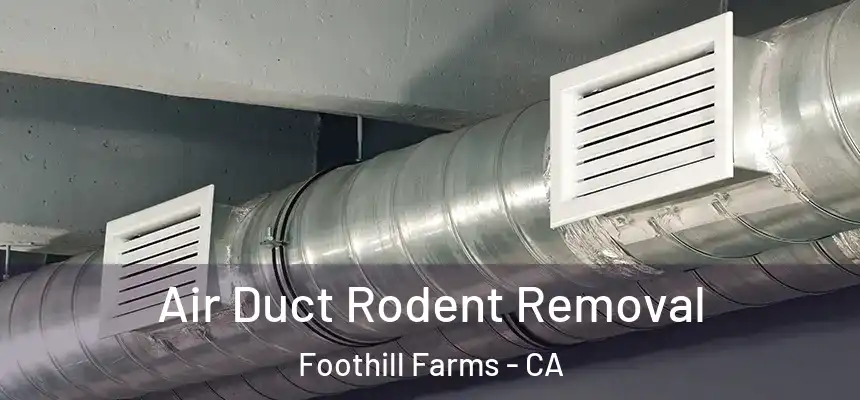 Air Duct Rodent Removal Foothill Farms - CA