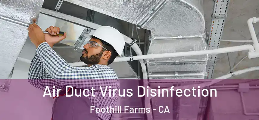  Air Duct Virus Disinfection Foothill Farms - CA