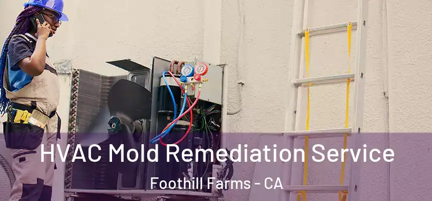 HVAC Mold Remediation Service Foothill Farms - CA