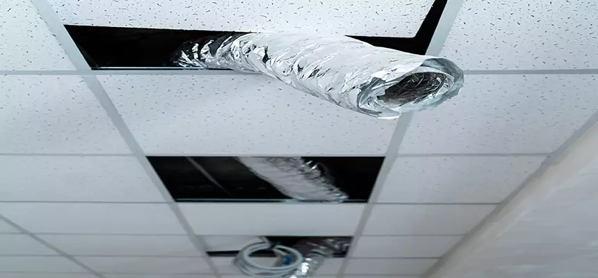 Our Air Duct Pet Hair Removal Services in Foothill Farms, CA