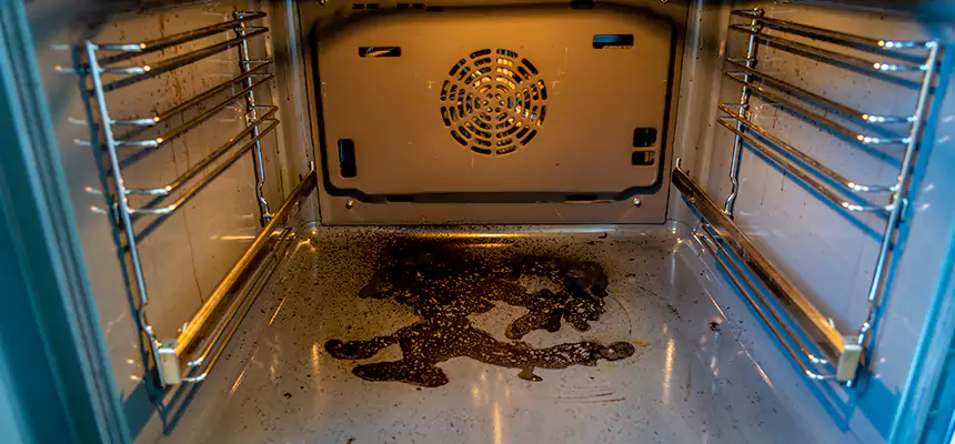 Our Dryer Vent Mold Cleaning Services in Foothill Farms, CA