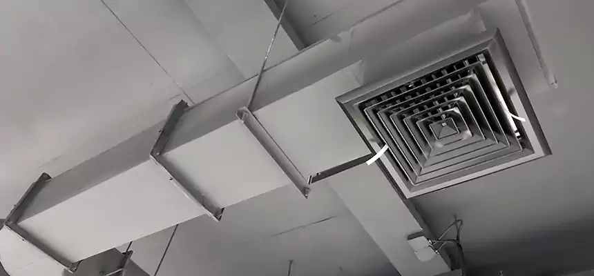 Our Pest Removal From Ducts Services in Foothill Farms, CA