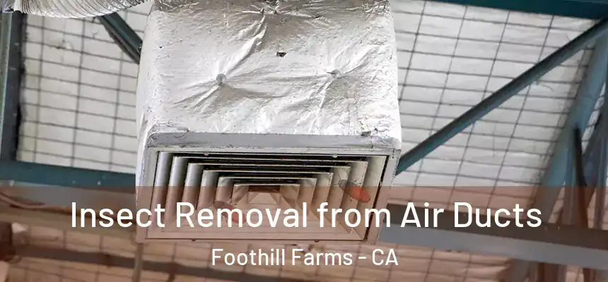  Insect Removal from Air Ducts Foothill Farms - CA