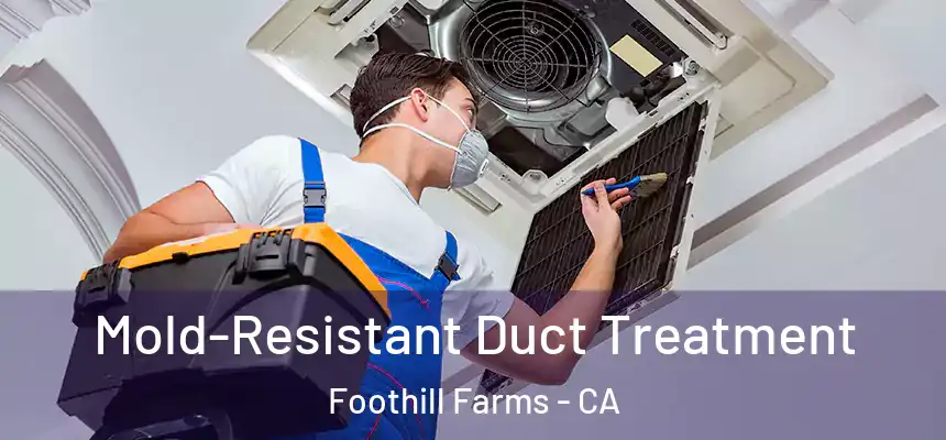  Mold-Resistant Duct Treatment Foothill Farms - CA