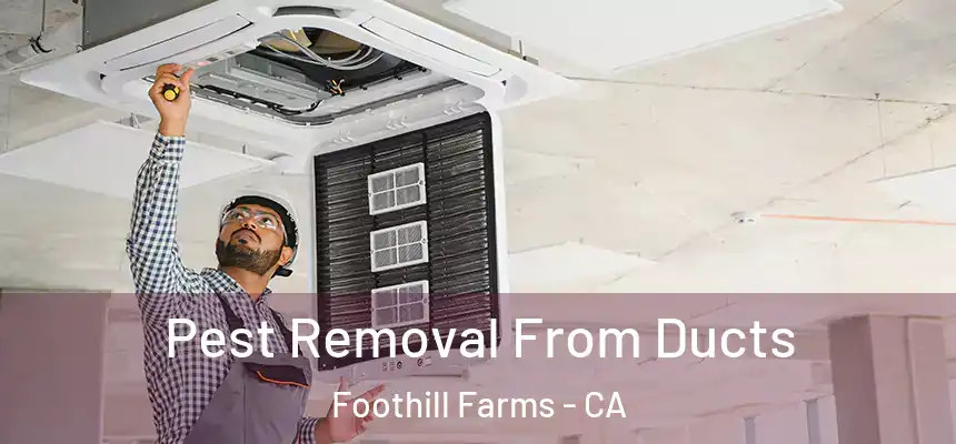  Pest Removal From Ducts Foothill Farms - CA