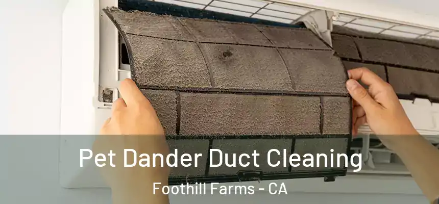  Pet Dander Duct Cleaning Foothill Farms - CA