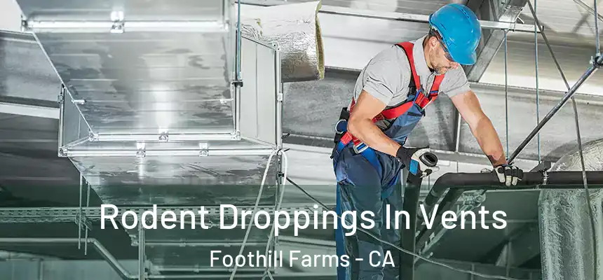  Rodent Droppings In Vents Foothill Farms - CA