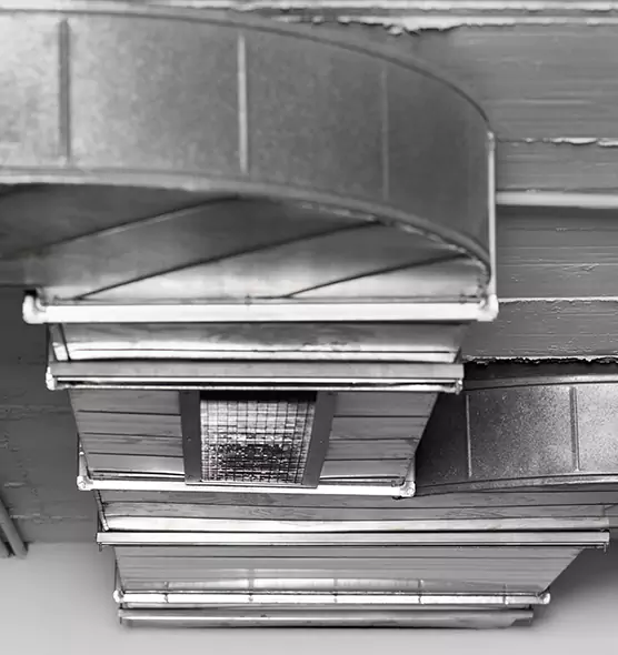 Professional Air Duct Pest Removal in Foothill Farms, CA