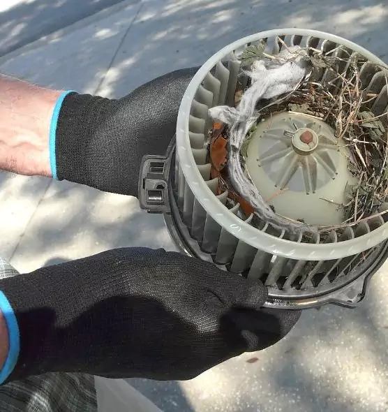 About Air Duct Rat Removal in Foothill Farms, CA