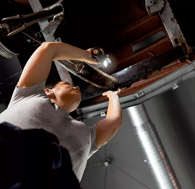 Why Homeowners & Businesses Trust Us Foothill Farms, CA