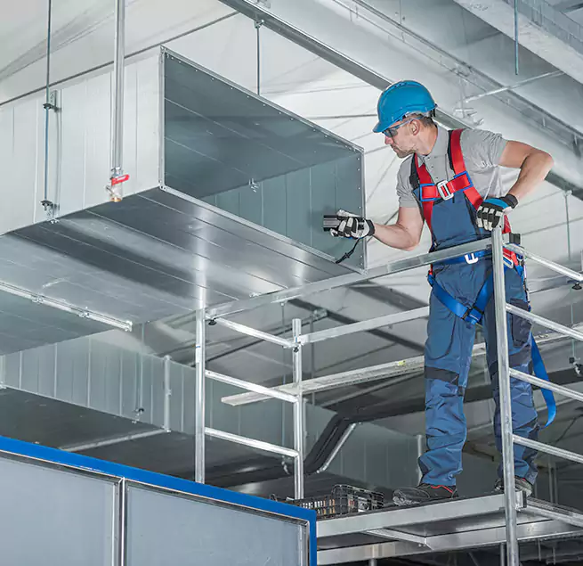 Why Homeowners & Businesses Trust Us Foothill Farms, CA